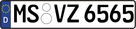 MS-VZ6565
