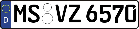 MS-VZ6570