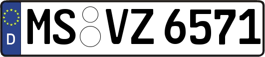 MS-VZ6571