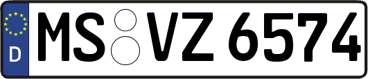 MS-VZ6574