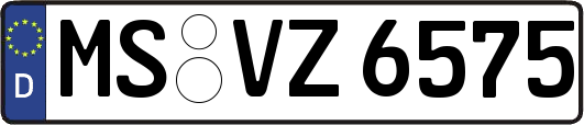MS-VZ6575