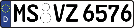 MS-VZ6576