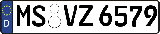 MS-VZ6579