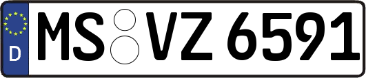 MS-VZ6591