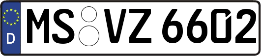 MS-VZ6602