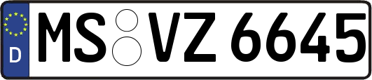 MS-VZ6645