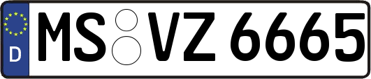 MS-VZ6665