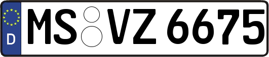MS-VZ6675