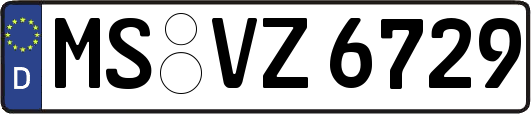 MS-VZ6729