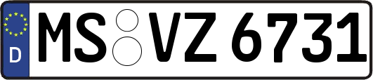 MS-VZ6731