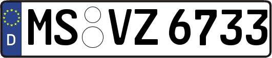 MS-VZ6733