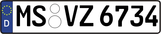 MS-VZ6734