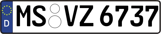 MS-VZ6737