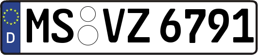 MS-VZ6791