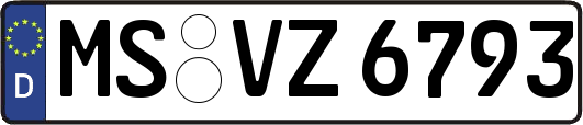MS-VZ6793