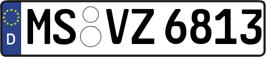 MS-VZ6813