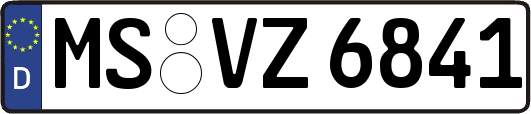 MS-VZ6841