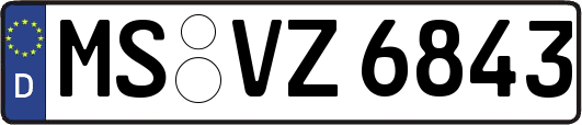 MS-VZ6843