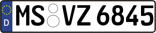 MS-VZ6845