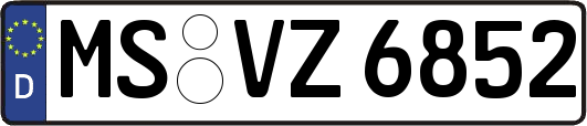 MS-VZ6852
