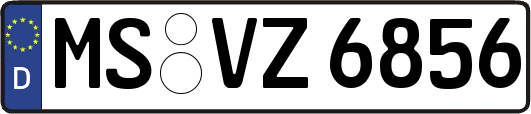 MS-VZ6856
