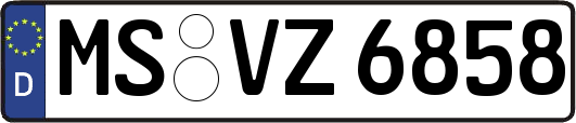MS-VZ6858