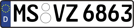 MS-VZ6863