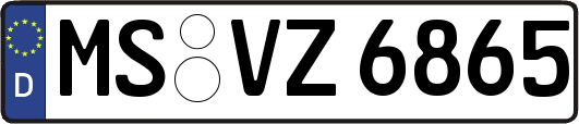 MS-VZ6865