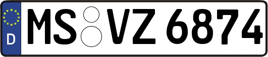 MS-VZ6874
