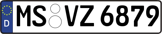 MS-VZ6879