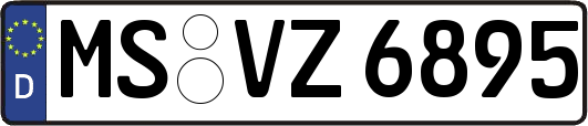 MS-VZ6895