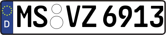 MS-VZ6913