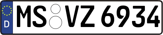 MS-VZ6934