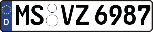 MS-VZ6987