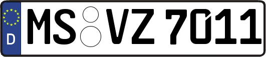 MS-VZ7011