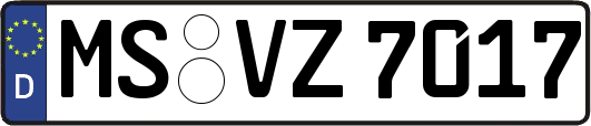 MS-VZ7017