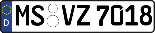 MS-VZ7018