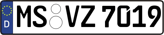 MS-VZ7019