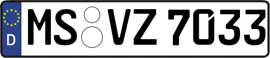 MS-VZ7033