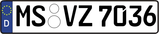 MS-VZ7036