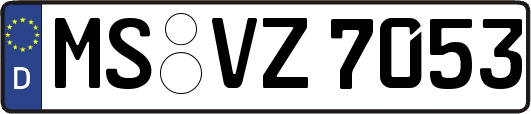MS-VZ7053