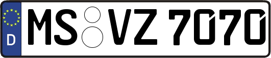 MS-VZ7070