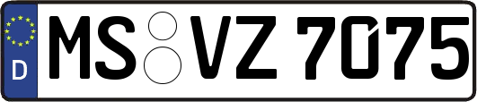 MS-VZ7075