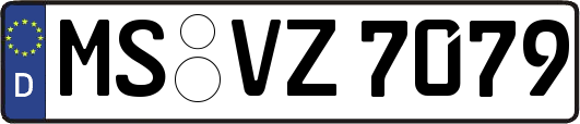 MS-VZ7079