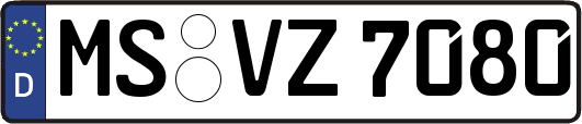 MS-VZ7080