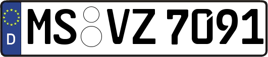 MS-VZ7091