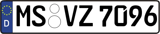 MS-VZ7096