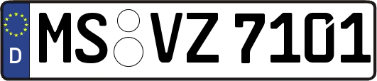 MS-VZ7101