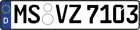 MS-VZ7103