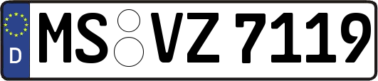 MS-VZ7119